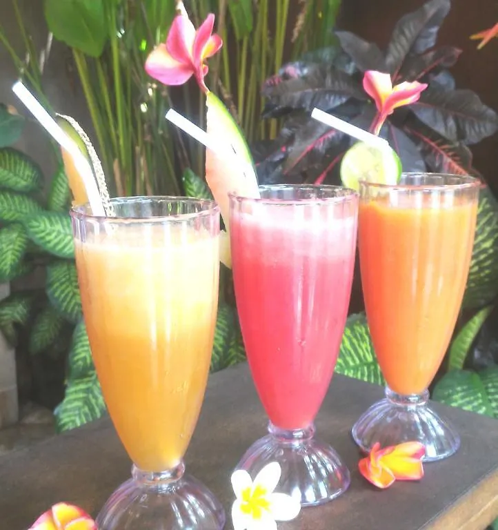 Saka Village Resort Ubud 3*,